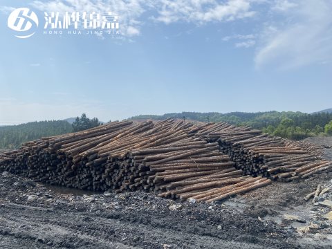 河道打樁為什么選擇松木樁來處理軟地基？-松木樁施工使用范圍