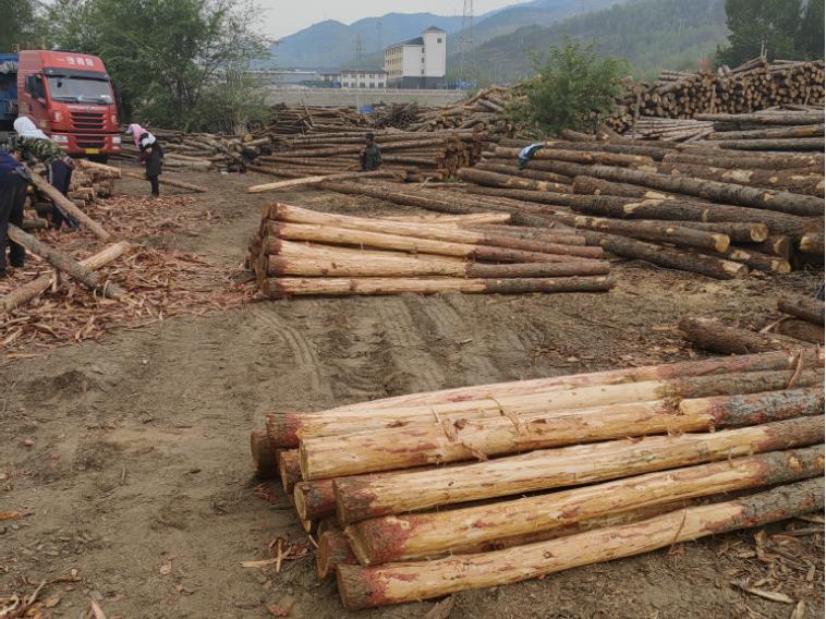 打造獨(dú)特魅力，混凝土著色劑為您加冕